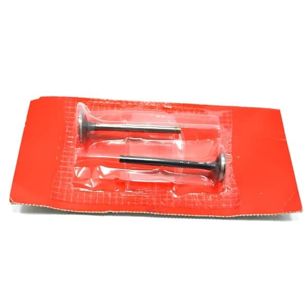 147A1GN5911 - VALVE SET | Spare part Honda original | Suma Parts Shop